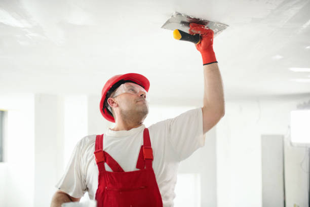 Best Comprehensive Air Testing for Mold Contaminants  in Enterprise, WV