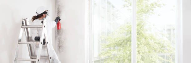 Best Mold Remediation for Healthcare Facilities  in Enterprise, WV