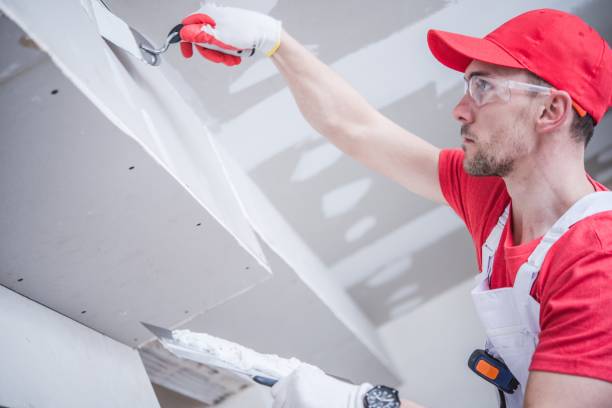 Best Mold Documentation for Insurance Claims  in Enterprise, WV